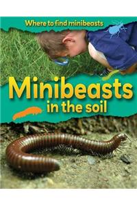 Minibeasts In the Soil
