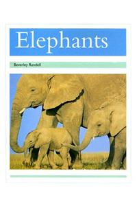 Elephants