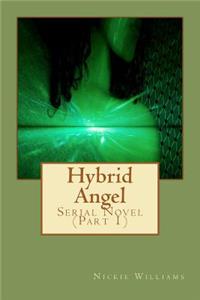 Hybrid Angel