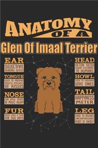 Anatomy Of A Glen Of Imaal Terrier