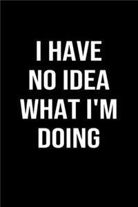 I Have No Idea What I'm Doing