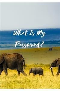 What Is My Password?