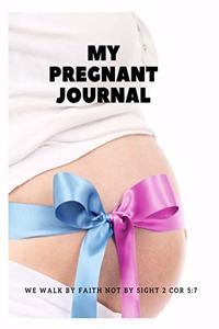My Pregnant Journal