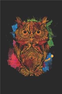 Owl Colorful