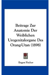 Beitrage Zur Anatomie Der Weiblichen Urogenitalorgane Des Orang-Utan (1898)