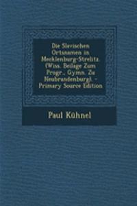 Die Slavischen Ortsnamen in Mecklenburg-Strelitz. (Wiss. Beilage Zum Progr., Gymn. Zu Neubrandenburg). - Primary Source Edition