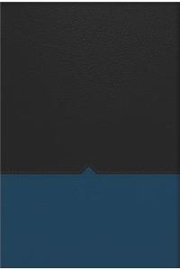 Charles F. Stanley Life Principles Bible-NKJV