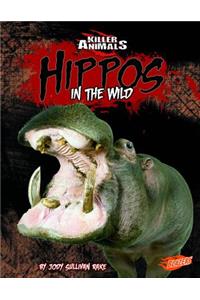 Hippos