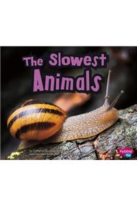 The Slowest Animals