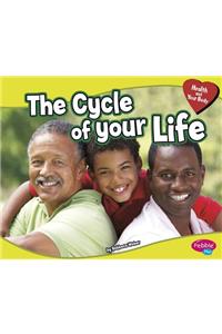 The Cycle of Your Life