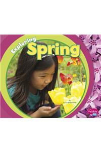 Exploring Spring