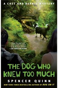 Dog Who Knew Too Much: A Chet and Bernie
