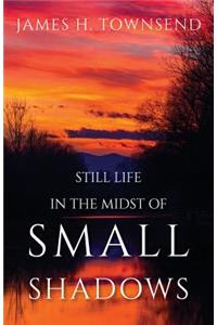 Still Life in the Midst of Small Shadows