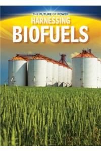 Harnessing Biofuels