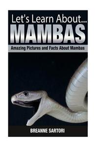 Mambas: Amazing Pictures and Facts about Mambas