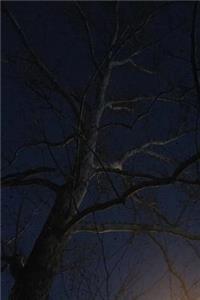 Night Tree Journal