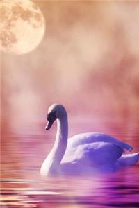 White Swan Swimming Aquatic Bird Journal