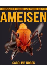 Ameisen