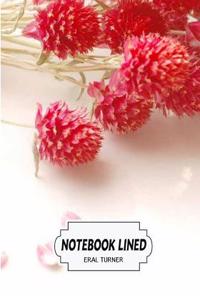 Soft Red Notebook: Notebook / Journal / Diary; Lined Pages