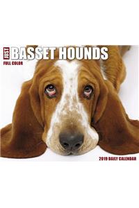 Just Basset Hounds 2019 Box Calendar (Dog Breed Calendar)