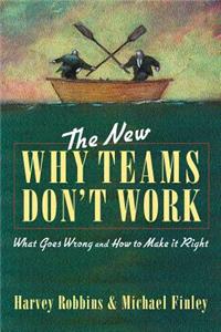 New Why Teams Don't Work