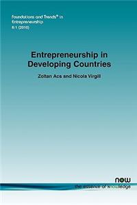 Entrepreneurship in Developing Countries