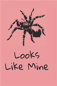 Looks like mine pink tarantula notebook