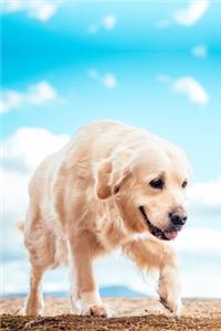 Golden Retriever Dog Pup Puppy Doggie Notebook Bullet Journal Diary Composition Book Notepad - Blue Sky