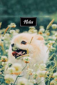 Pomeranian Dog Pup Puppy Doggie Notebook Bullet Journal Diary Composition Book Notepad - In Flower Field