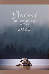 Planner For Months And Weeks 2020