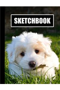 Sketchbook