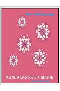 Mandalas Sketchbook polar graph paper free coloring page