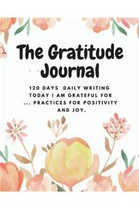 The Gratitude Journal 120 Days Daily Writing