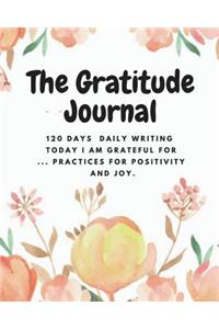 The Gratitude Journal 120 Days Daily Writing