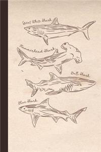 Shark Notebook