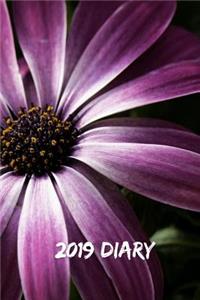 2019 Diary