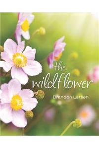 The Wildflower