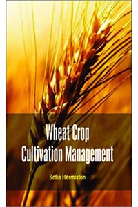 Wheat Crop Cultivation Management