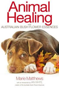 Animal Healing with Australian Bush Flower Essences