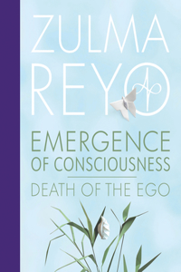 Emergence Of Conciousness