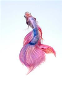 Betta Fish Notebook