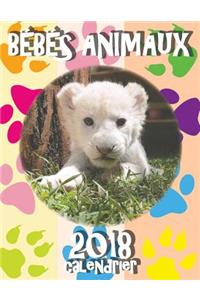 Bébés Animaux 2018 Calendrier (Edition France)