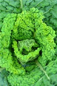 Savoy Cabbage in the Garden Journal