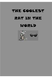 Coolest Rat In The World