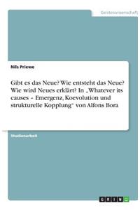 Gibt es das Neue? Wie entsteht das Neue? Wie wird Neues erklärt? In "Whatever its causes - Emergenz, Koevolution und strukturelle Kopplung von Alfons Bora