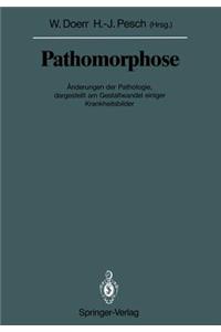 Pathomorphose: Änderungen Der Pathologie, Dargestellt Am Gestaltwandel Einiger Krankheitsbilder