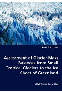 Assessment of Glacier Mass Balances from Small Tropical Glaciers to the Ice Sheet of Greenland