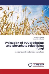 Evaluation of Iaa Producing and Phosphate Solubilizing Fungi