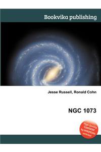 Ngc 1073
