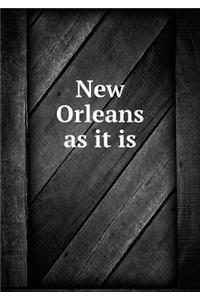 New Orleans as It Is